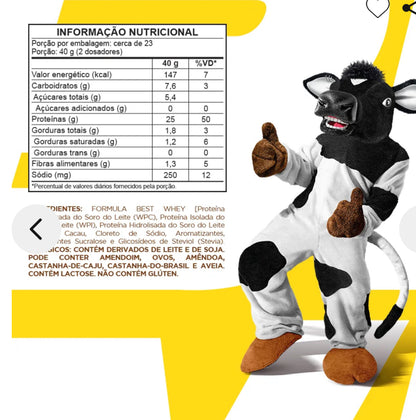 Best Whey Protein (Pote 900g) Achocolatado Toddy